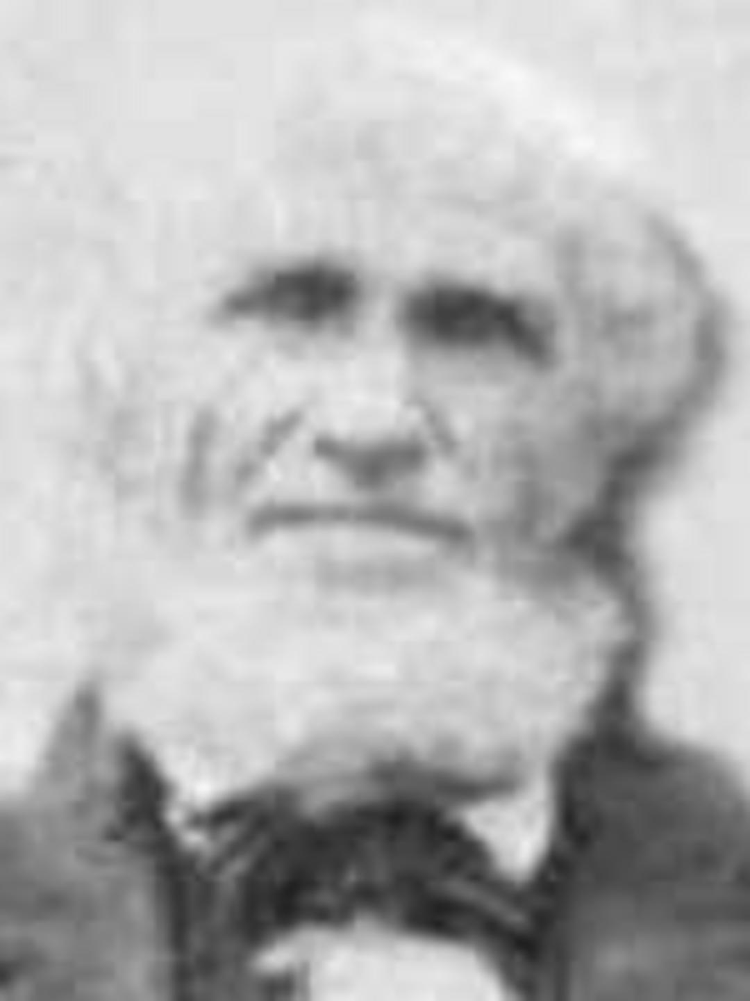 John McCleve (1807 - 1856) Profile
